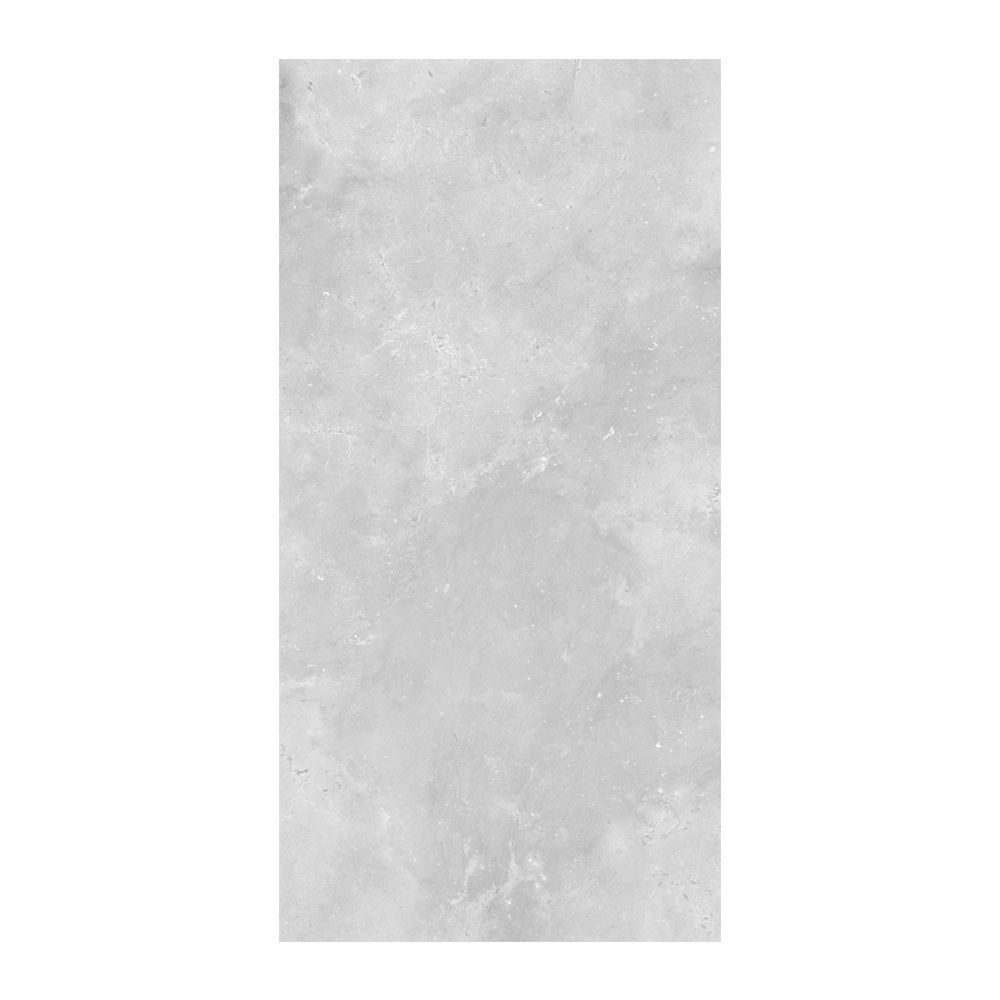 CONCEPT L. GREY R10 (12F6628) 60X120*A