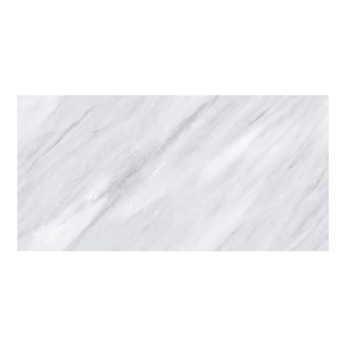 G7 流木灰汁抜き処理済み美肌美白特大流木122cm